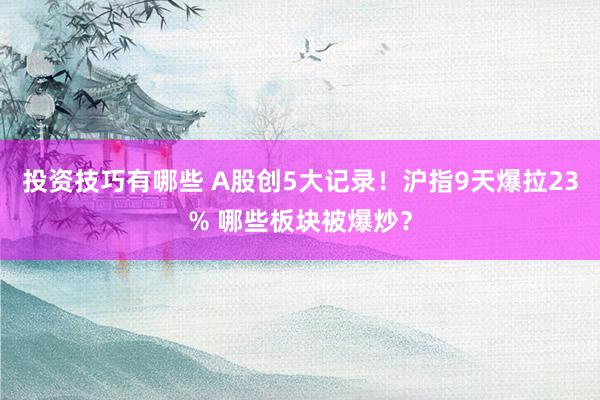 投资技巧有哪些 A股创5大记录！沪指9天爆拉23% 哪些板块被爆炒？