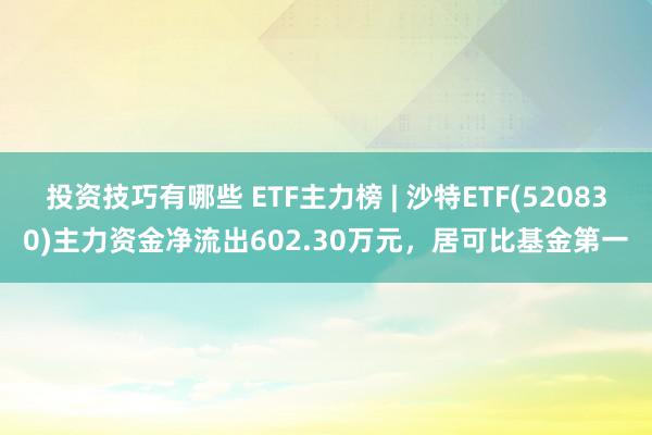 投资技巧有哪些 ETF主力榜 | 沙特ETF(520830)主力资金净流出602.30万元，居可比基金第一