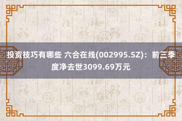 投资技巧有哪些 六合在线(002995.SZ)：前三季度净去世3099.69万元