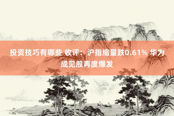 投资技巧有哪些 收评：沪指缩量跌0.61% 华为成见股再度爆发