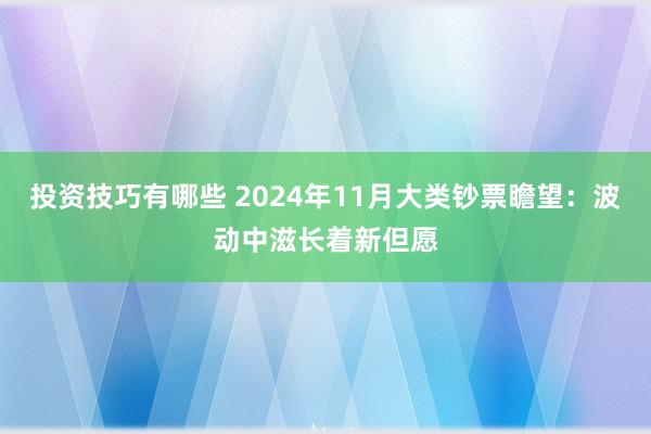 投资技巧有哪些 2024年11月大类钞票瞻望：波动中滋长着新但愿