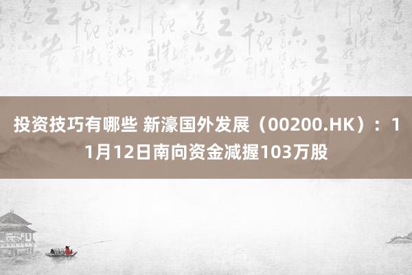 投资技巧有哪些 新濠国外发展（00200.HK）：11月12日南向资金减握103万股