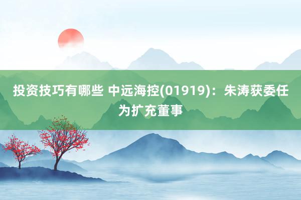 投资技巧有哪些 中远海控(01919)：朱涛获委任为扩充董事