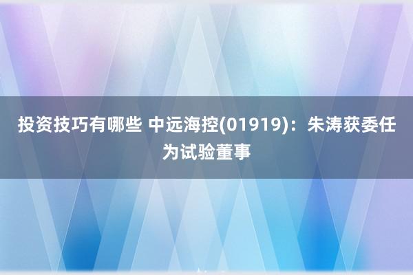 投资技巧有哪些 中远海控(01919)：朱涛获委任为试验董事