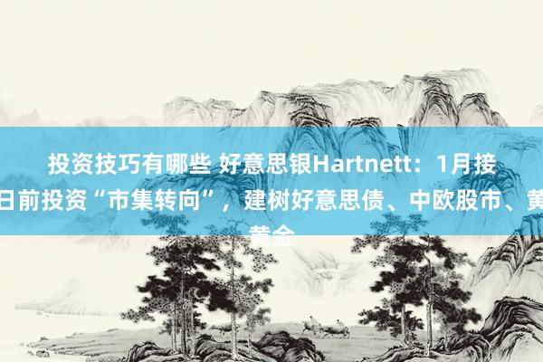 投资技巧有哪些 好意思银Hartnett：1月接事日前投资“市集转向”，建树好意思债、中欧股市、黄金