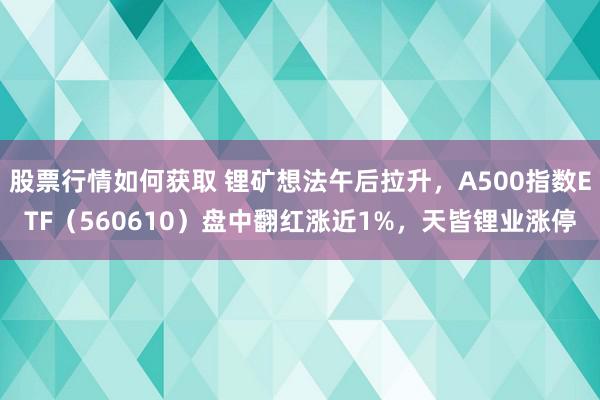 股票行情如何获取 锂矿想法午后拉升，A500指数ETF（560610）盘中翻红涨近1%，天皆锂业涨停