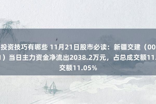 投资技巧有哪些 11月21日股市必读：新疆交建（002941）当日主力资金净流出2038.2万元，占总成交额11.05%