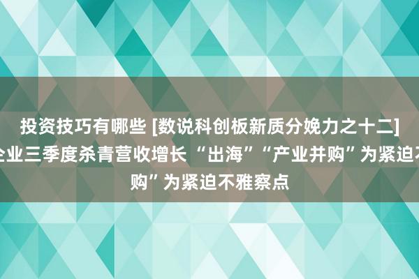 投资技巧有哪些 [数说科创板新质分娩力之十二]超六成企业三季度杀青营收增长 “出海”“产业并购”为紧迫不雅察点