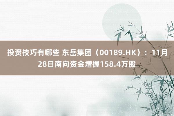 投资技巧有哪些 东岳集团（00189.HK）：11月28日南向资金增握158.4万股