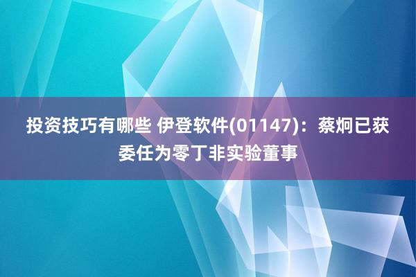 投资技巧有哪些 伊登软件(01147)：蔡炯已获委任为零丁非实验董事