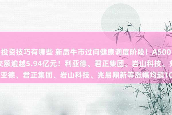 投资技巧有哪些 新质牛市过问健康调度阶段！A500ETF(159339)及时成交额逾越5.94亿元！利亚德、君正集团、岩山科技、兆易鼎新等涨幅均超10%