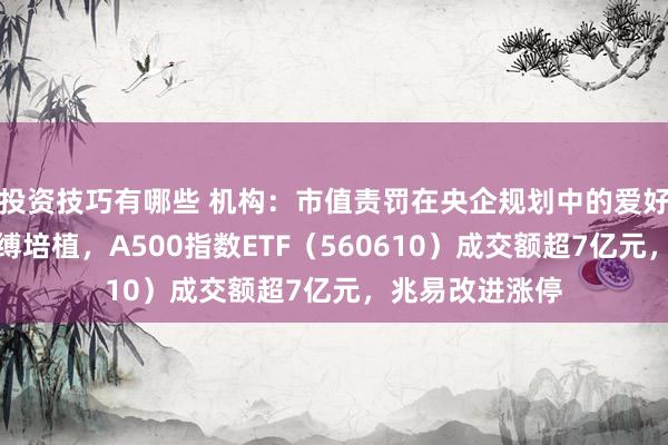 投资技巧有哪些 机构：市值责罚在央企规划中的爱好进度将不绝束缚培植，A500指数ETF（560610）成交额超7亿元，兆易改进涨停