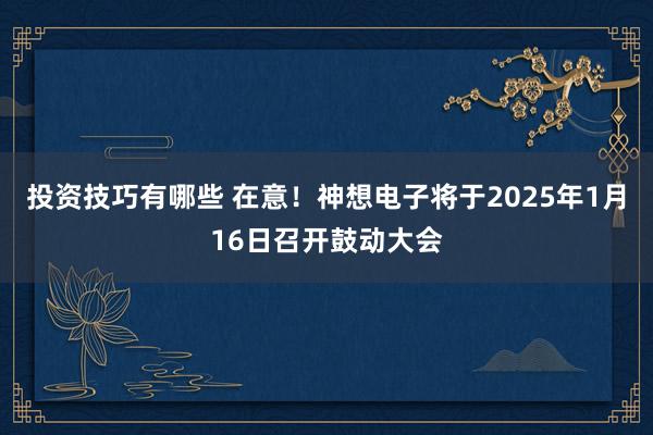 投资技巧有哪些 在意！神想电子将于2025年1月16日召开鼓动大会