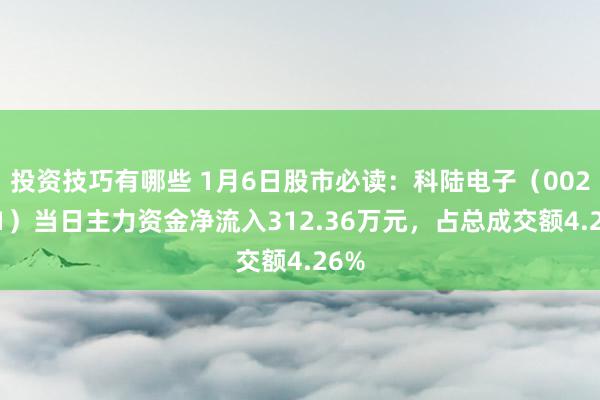 投资技巧有哪些 1月6日股市必读：科陆电子（002121）当日主力资金净流入312.36万元，占总成交额4.26%