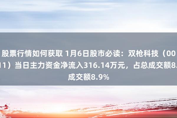 股票行情如何获取 1月6日股市必读：双枪科技（001211）当日主力资金净流入316.14万元，占总成交额8.9%