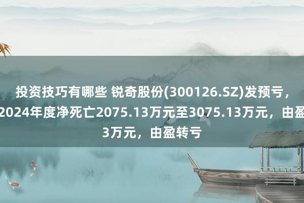 投资技巧有哪些 锐奇股份(300126.SZ)发预亏，瞻望2024年度净死亡2075.13万元至3075.13万元，由盈转亏