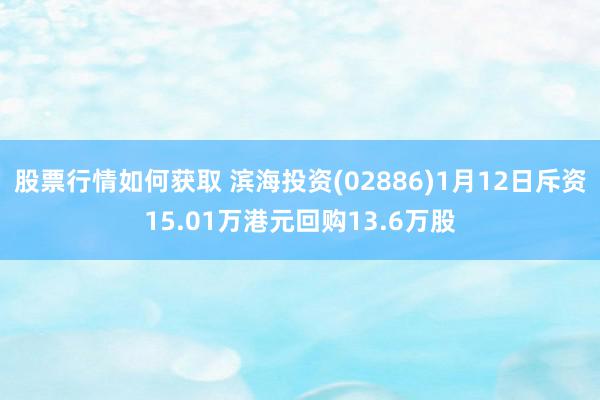 股票行情如何获取 滨海投资(02886)1月12日斥资15.01万港元回购13.6万股