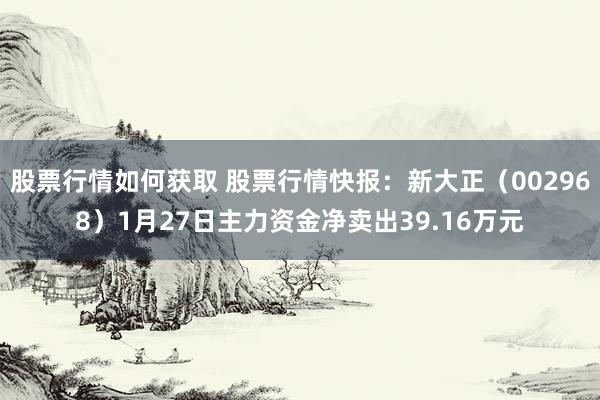 股票行情如何获取 股票行情快报：新大正（002968）1月27日主力资金净卖出39.16万元