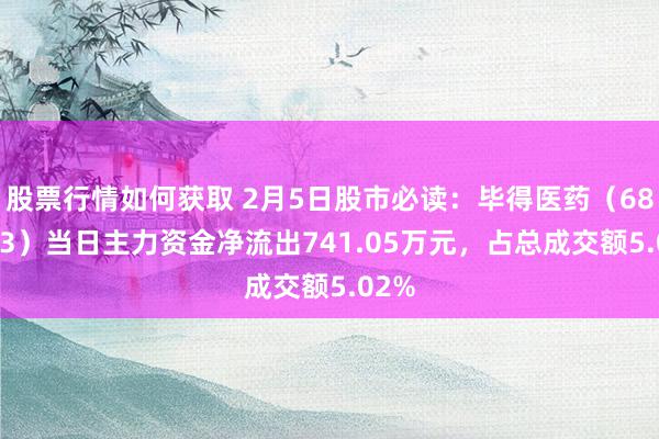 股票行情如何获取 2月5日股市必读：毕得医药（688073）当日主力资金净流出741.05万元，占总成交额5.02%