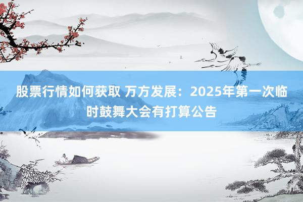 股票行情如何获取 万方发展：2025年第一次临时鼓舞大会有打算公告