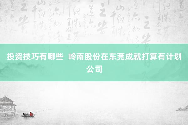 投资技巧有哪些  岭南股份在东莞成就打算有计划公司