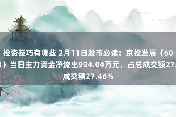 投资技巧有哪些 2月11日股市必读：京投发展（600683）当日主力资金净流出994.04万元，占总成交额27.46%