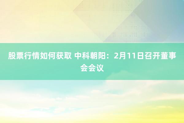 股票行情如何获取 中科朝阳：2月11日召开董事会会议