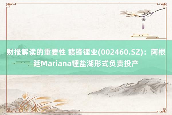 财报解读的重要性 赣锋锂业(002460.SZ)：阿根廷Mariana锂盐湖形式负责投产