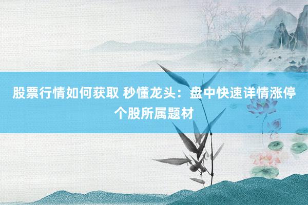 股票行情如何获取 秒懂龙头：盘中快速详情涨停个股所属题材