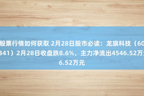 股票行情如何获取 2月28日股市必读：龙旗科技（603341）2月28日收盘跌8.6%，主力净流出4546.52万元