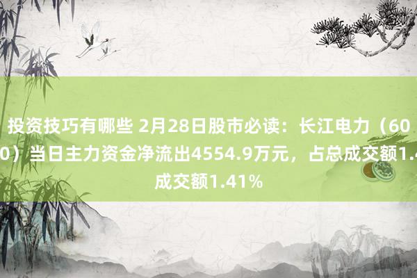 投资技巧有哪些 2月28日股市必读：长江电力（600900）当日主力资金净流出4554.9万元，占总成交额1.41%