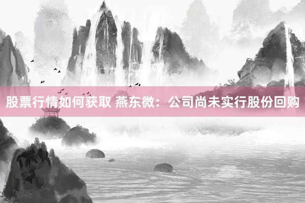 股票行情如何获取 燕东微：公司尚未实行股份回购