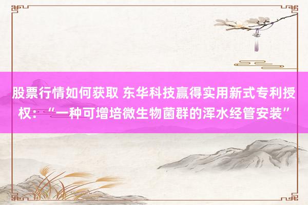 股票行情如何获取 东华科技赢得实用新式专利授权：“一种可增培微生物菌群的浑水经管安装”