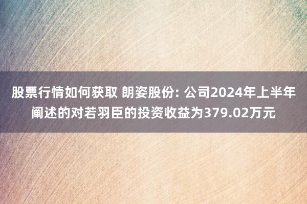 股票行情如何获取 朗姿股份: 公司2024年上半年阐述的对若羽臣的投资收益为379.02万元