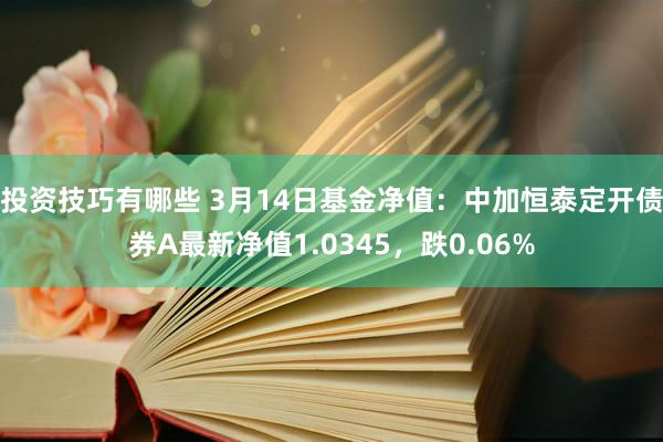 投资技巧有哪些 3月14日基金净值：中加恒泰定开债券A最新净值1.0345，跌0.06%