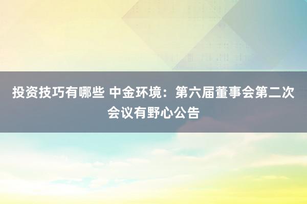 投资技巧有哪些 中金环境：第六届董事会第二次会议有野心公告